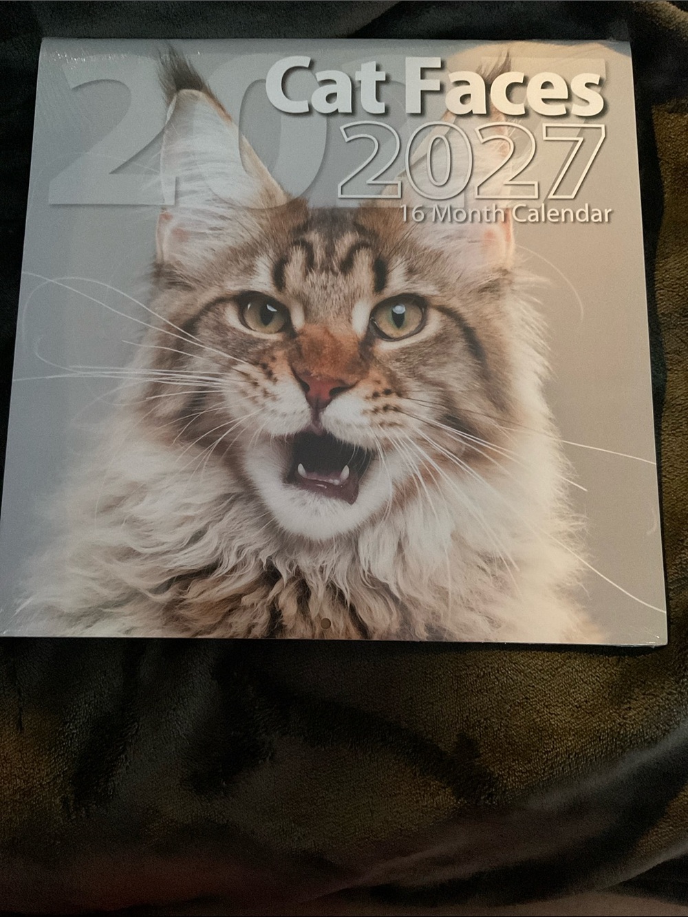 2027 Cat Faces